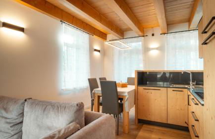 Appartamento Vale e Schena Cortina 4 posti letto - Foto 12