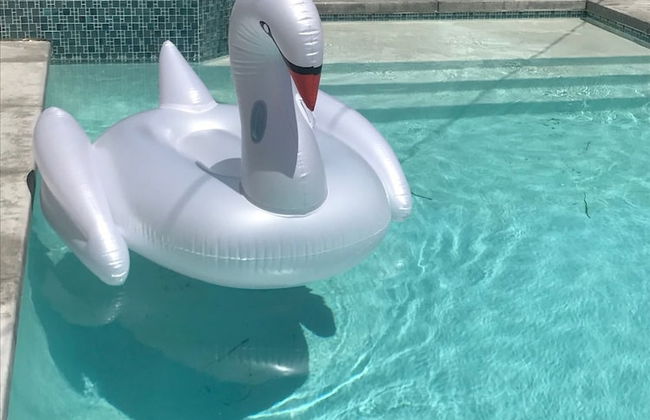 The Colony House Palm Springs - Foto 17