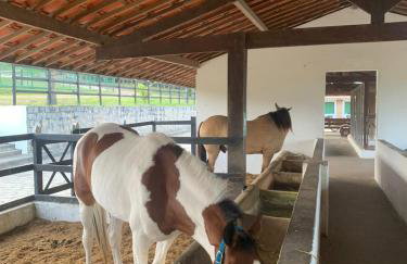 Monte Castelo Gravatá - Foto 5