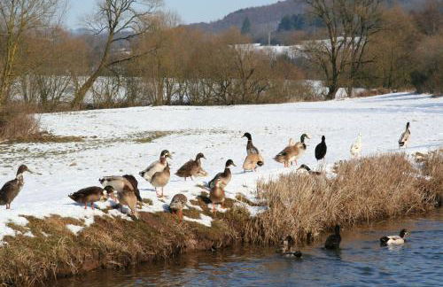 Im-Pruemtal - Foto 11