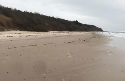 Meiks Ostseehütten - Foto 23