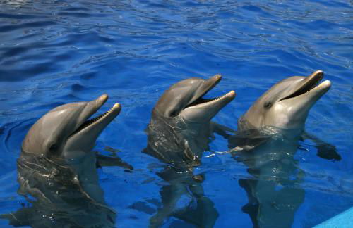 La Vista al mar de Belén - Foto 56