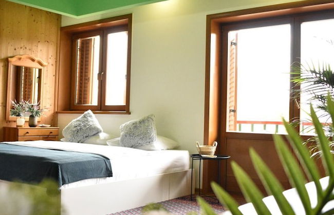 Malak Farma - Foto 9