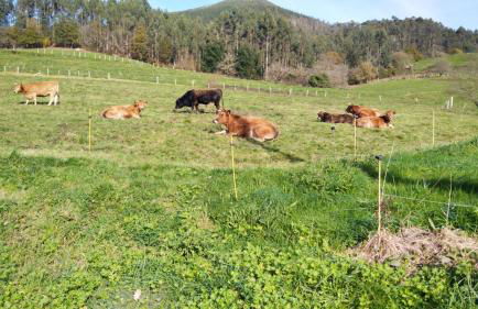 La Escuela de Premio - Foto 48