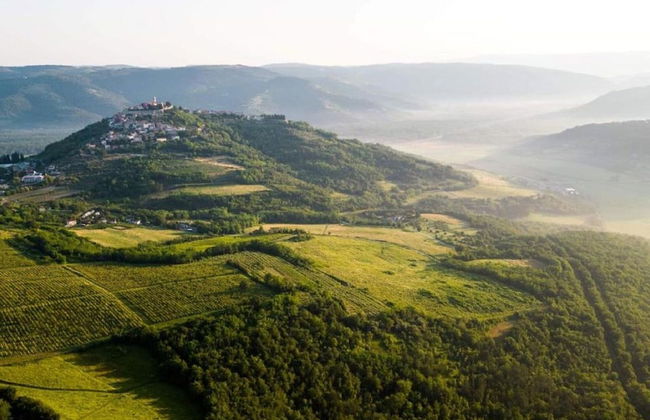 Modern Villa With Swimming Pool and Garden - Photo 26