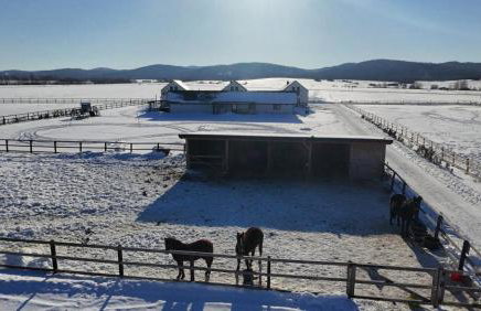 Noclegi Beskidzkie Stodoły - Foto 55
