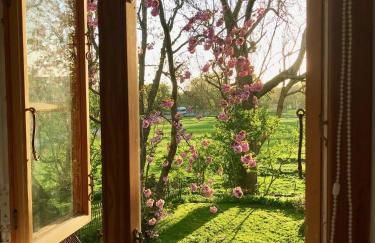 Dachgeschosswohnung Warft Simmerdeis in Reetdachhaus mit parkähnlichem Garten - Foto 15