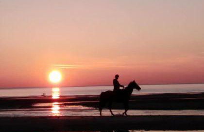 la Margaret Face mer - Foto 43