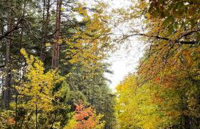 Zielony Domek w Nartach - Mazury - Photo 70