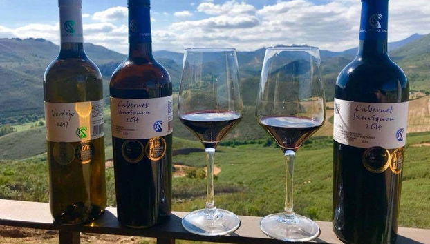 Vino de las bodegas Ruiz Torres