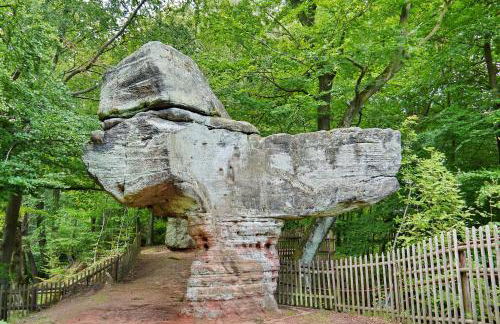 Hennen-Nest - Foto 22