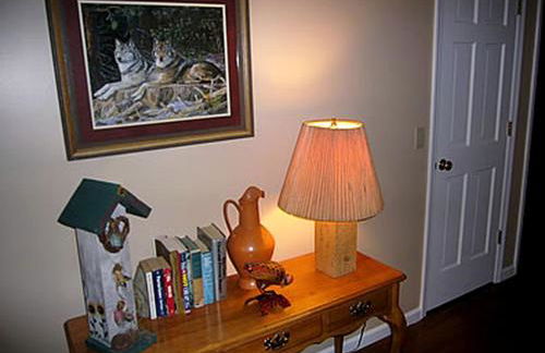 Incredible Vacation Rental for Large Groups on 20 Acres in Reliance, Tennessee - Foto 14