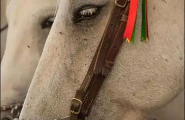 Studio mi casa es su casa - Photo 36