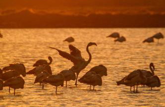 Villa Santa Venera - Photo 62