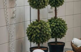 Casa do Parque - Casa familiar - Photo 47