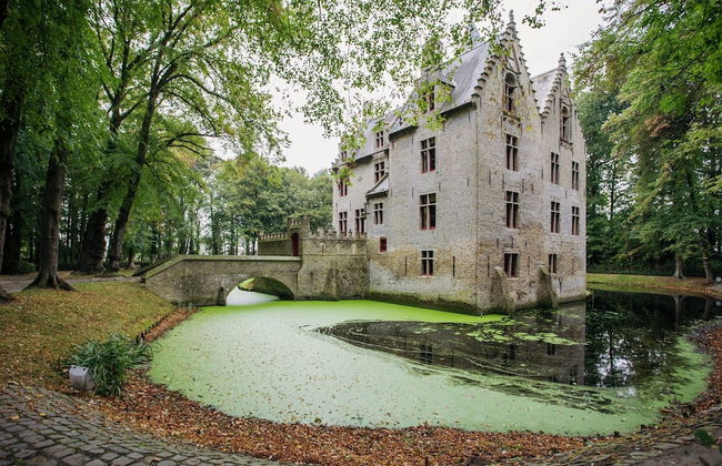 Beautiful Villa Near the Sea - Photo 67