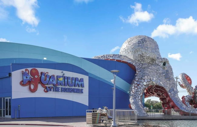 Container Home - Foto 52