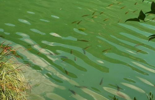 Casa Rural Rio Jucar - Foto 32