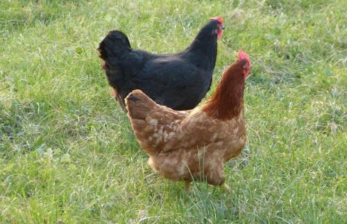 Gîte chez Emy et Seb - Foto 7