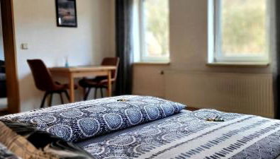 Suhl - Ihre erholsame Arbeiterwohnung in Zentrumnähe - Foto 4