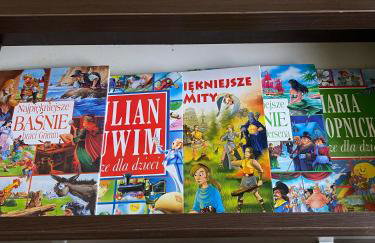 Mieszkanie Mickiewicza ... 45 - Foto 33