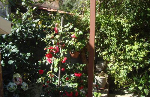 Studio Apartment Lile - Foto 19