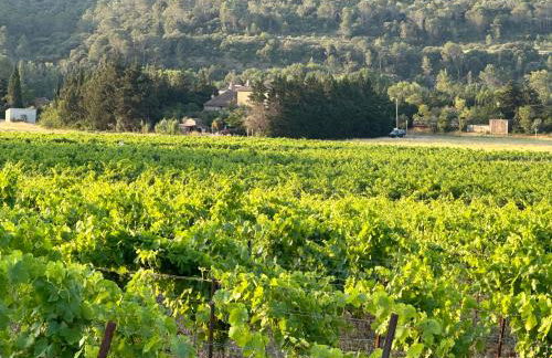 l escapade Corbières - Foto 52