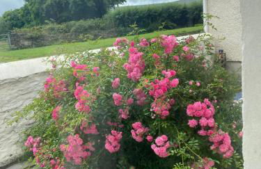 Newfoundland Cottage - Photo 35