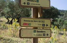 Casa Pedro - Photo 40