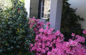 Casa Pinho - Foto 29