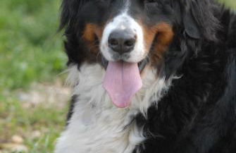 Agriturismo Sol De Montalto - Photo 37