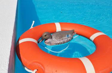 Quinta Rural em Coruche com piscina privativa - Foto 21