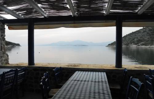 Palm tree house by the beach - Foto 57