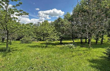 La petite maison - Foto 6