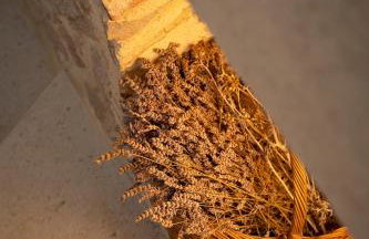 BRAND NEW Stone house MARCELA, 3 double bedrooms, pool - Foto 61