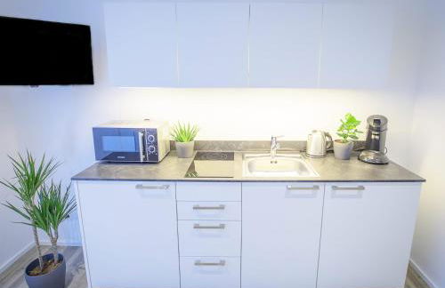 Freiburger-Ferienwohnung - Foto 7