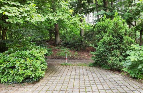 Ferienwohnung Waldblick Teutoburger Wald - Foto 19