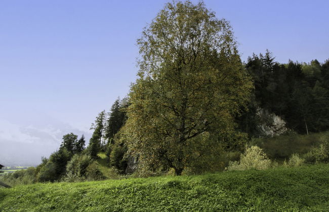 Ratschnhof - Foto 17