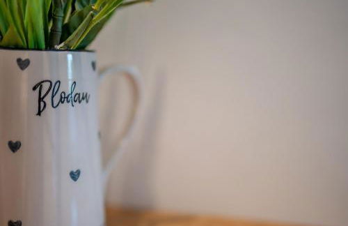 Llety-Bugail - Foto 7