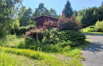 Domek Zielony Dzięcioł - Foto 21