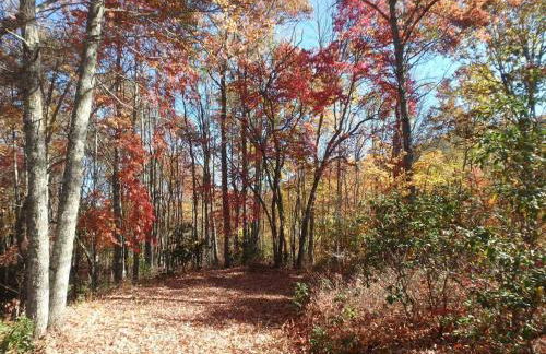 Nantahala Spiritual Retreat - Remote and Peaceful! - Foto 40