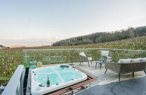 Maison 4 chambres avec jaccuzi piscine privée et sauna - Foto 2