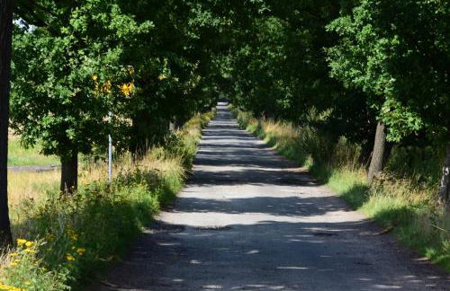 Marktquartier - Foto 19