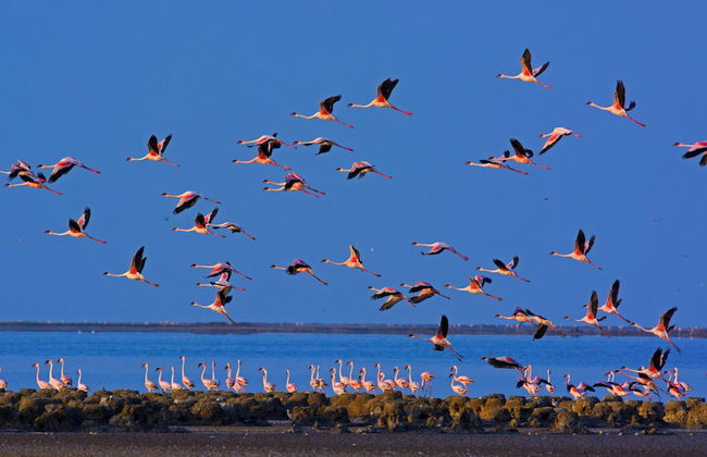 Rann Riders - Foto 36