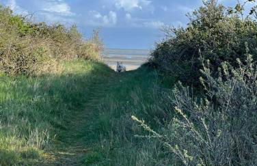 Maison face à la mer - Photo 21