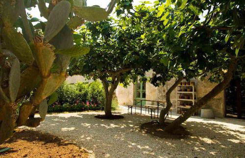 Masseria Celano - Foto 29