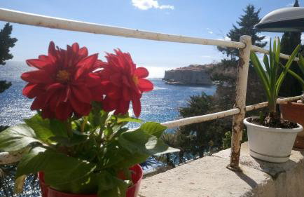 Apartments Dubrovnik Center - Photo 31