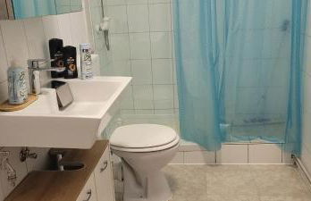 Ap1 51qm bei Oschersleben und Helmstedt - Foto 8