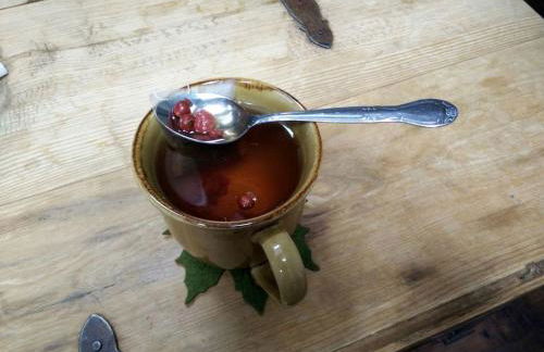 Enchanting Cabin Rental near Colorado Springs, Colorado - Foto 13