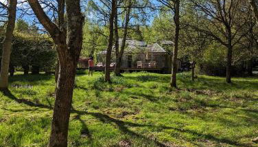 Birkenside Cottage - Foto 3, Garden view